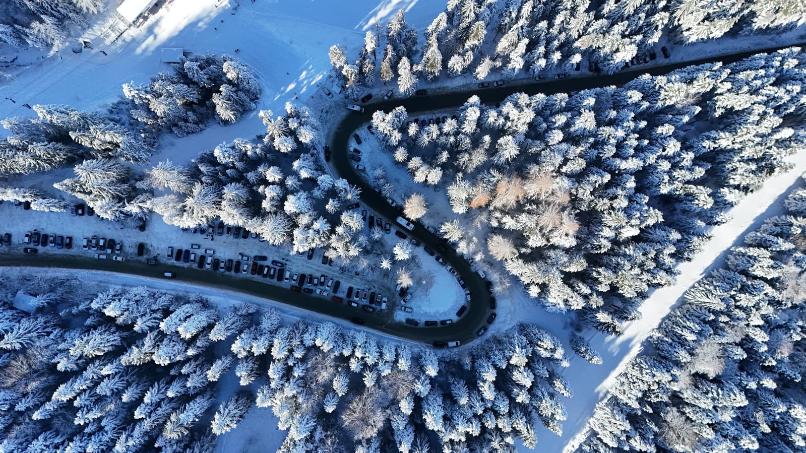 From Sofia: Winter day in Borovets-  Snow Day, & Thermal Springs - 1