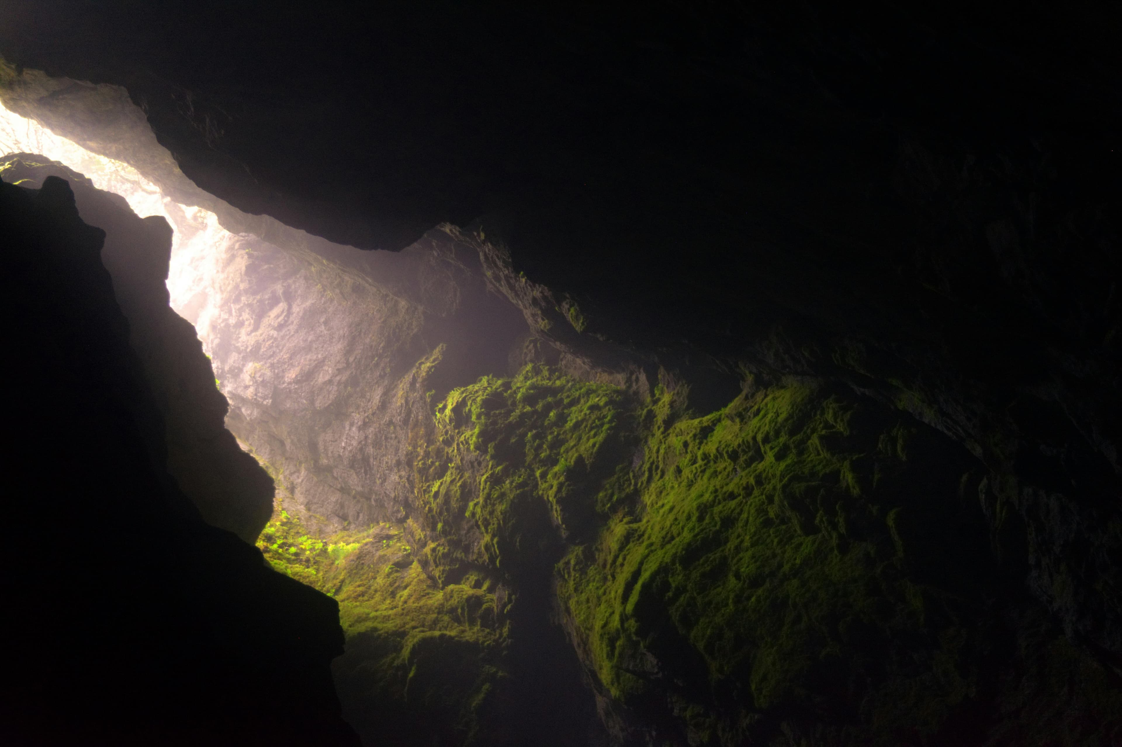 From Sofia: Bulgaria’s Natural Wonders - Saeva Dupka, Devetashka and Prohodna & River Eco trip - 2