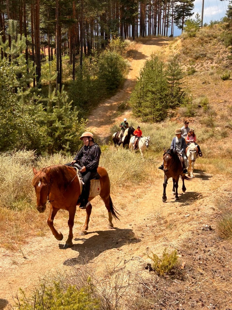 In Bansko: Horse riding - 1