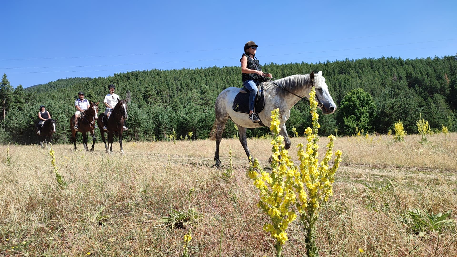 In Bansko: Horse riding - 3