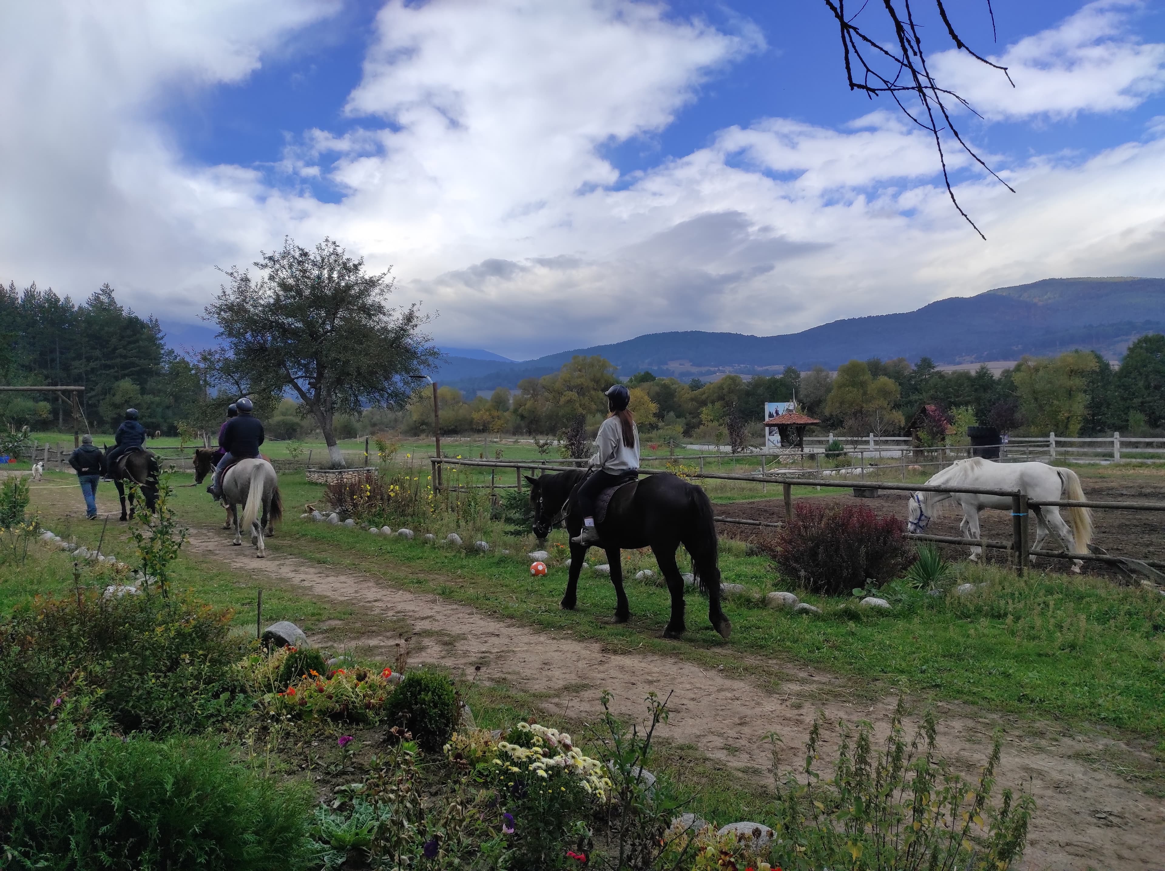 In Bansko: Horse riding - 4