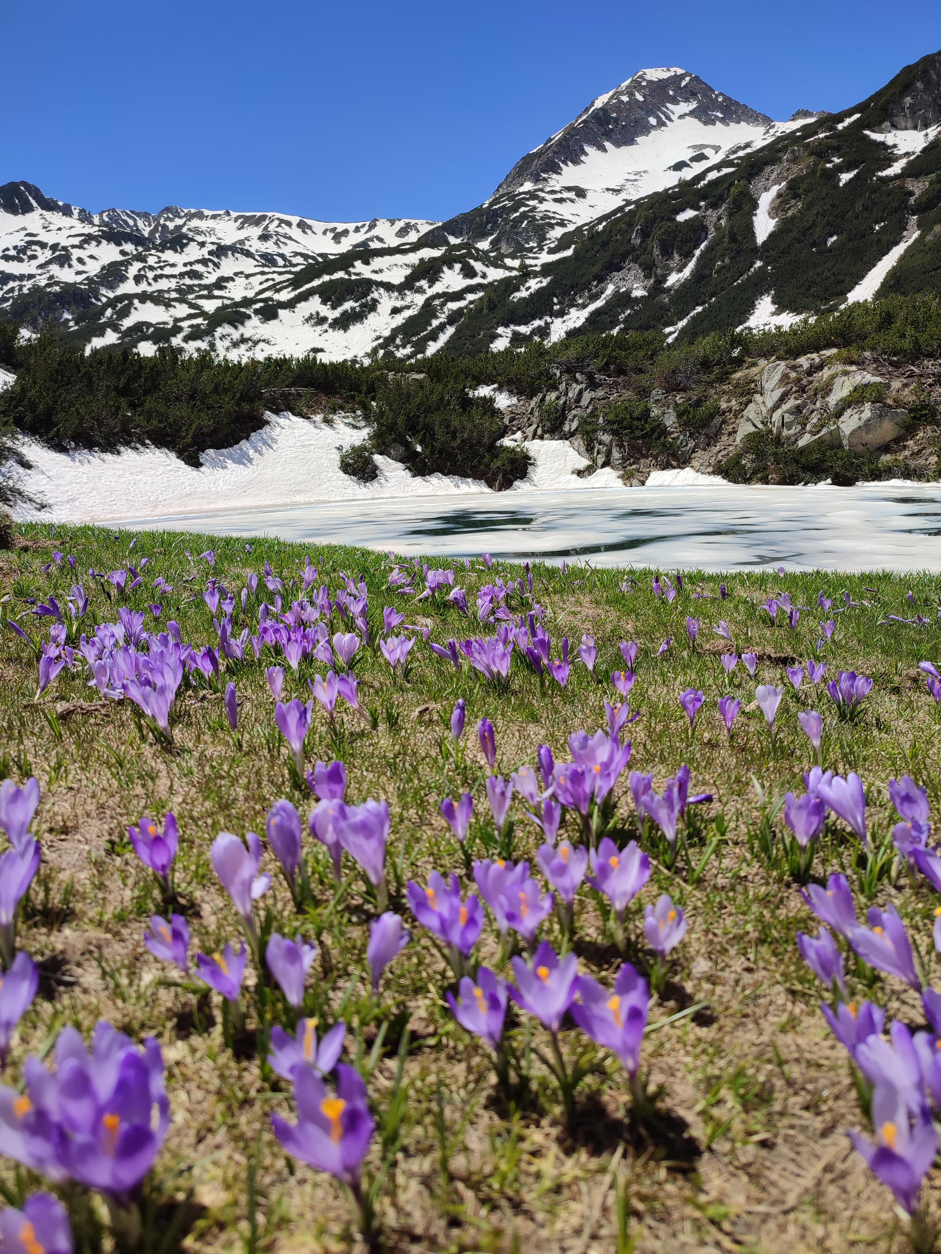 In Bansko: Pirin's Three Lakes – A Scenic Day Hike - 4