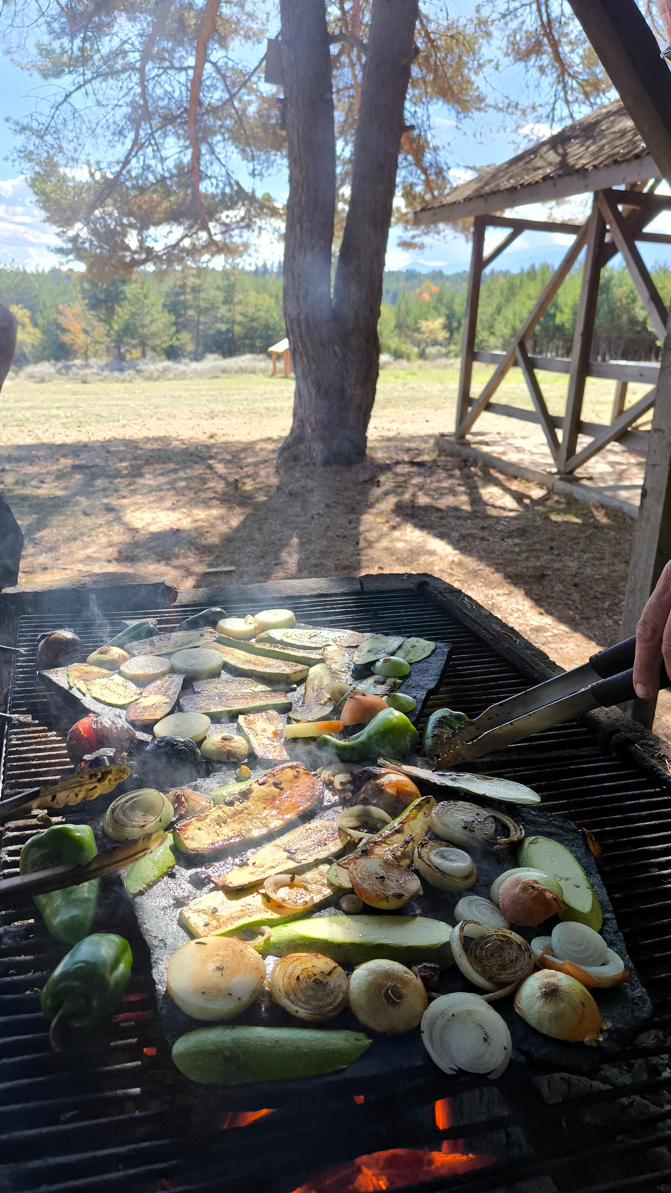 In Bansko: Stone Grill Picnic – A Taste of Bulgaria in the Heart of the Forest - 2