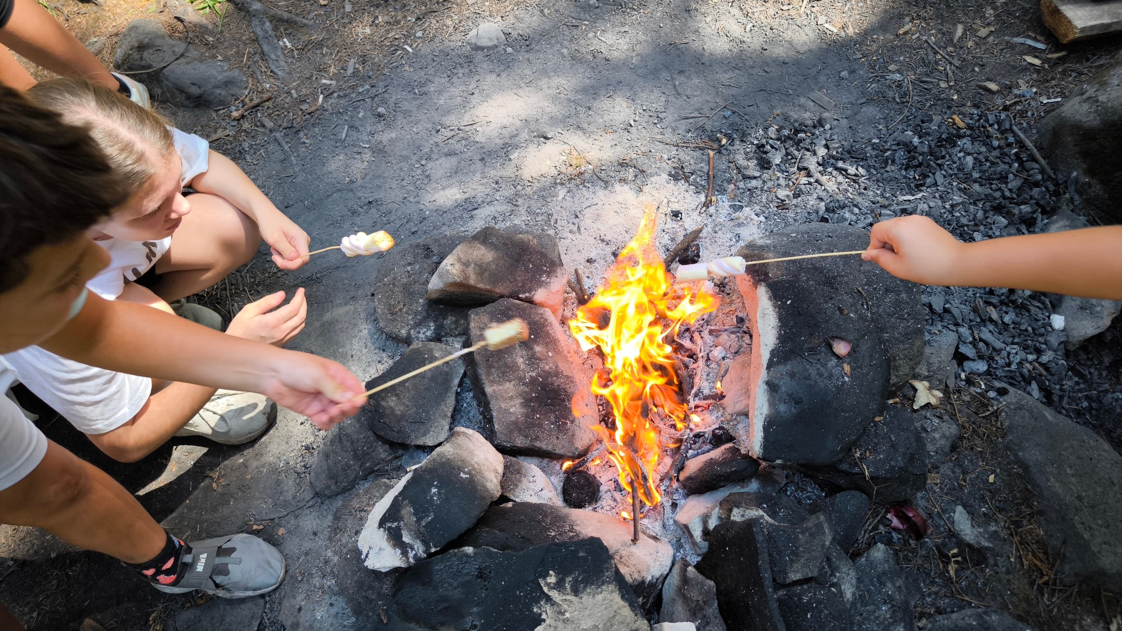 In Bansko: Stone Grill Picnic – A Taste of Bulgaria in the Heart of the Forest - 3