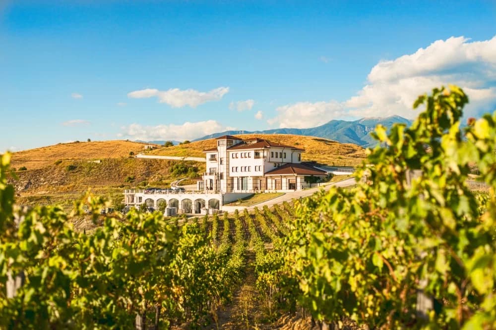 From Bansko: Melnik & Rozhen Monastery: A Wine & Heritage Day Trip - 2