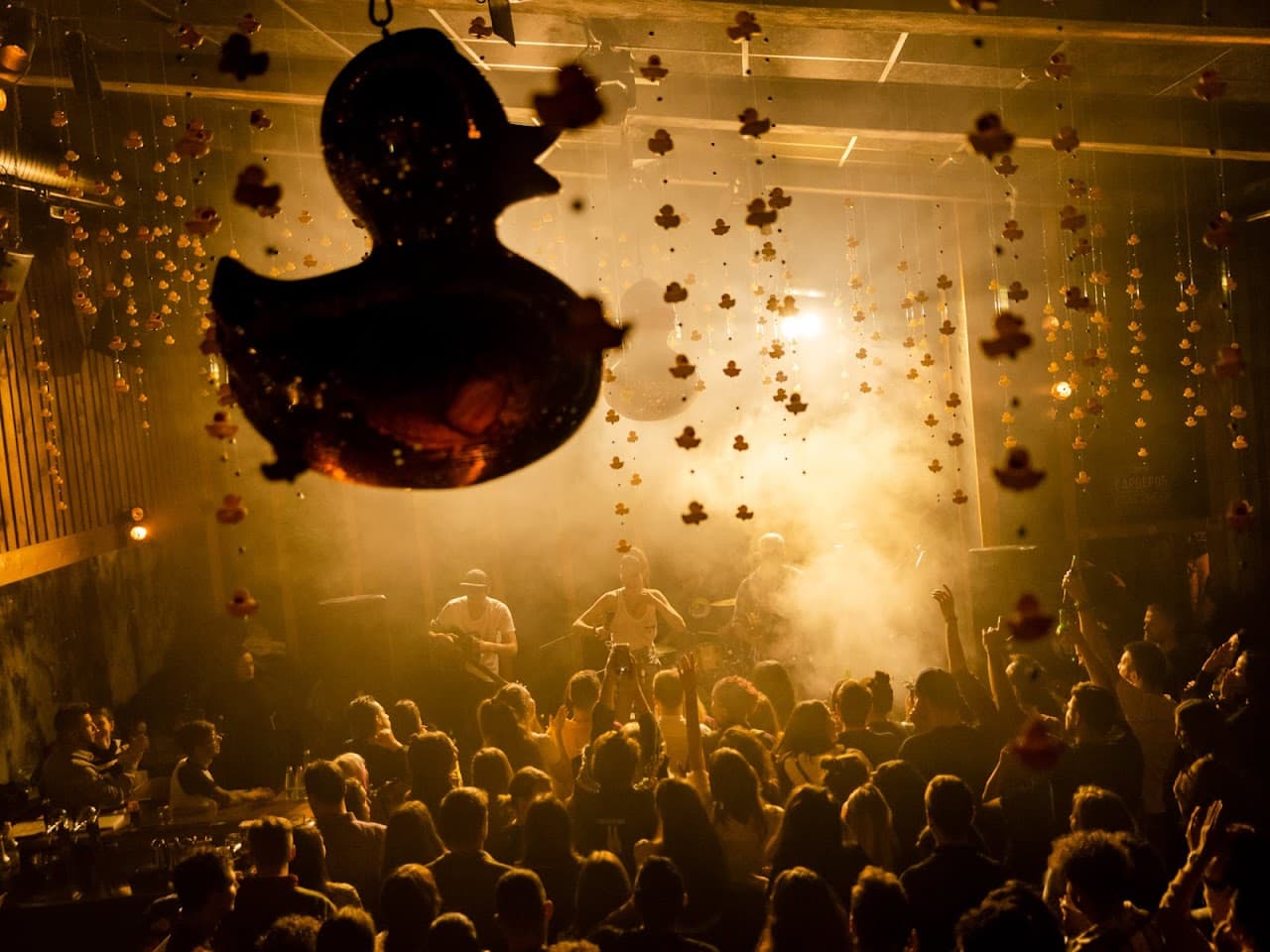 In Sofia: Wild evening at CLWD Club - 3