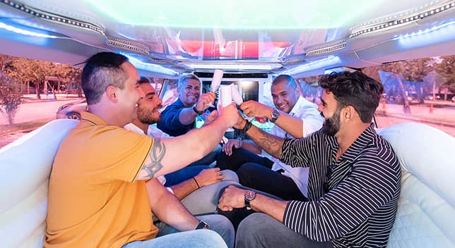 In Sofia: VIP Bachelor Party - 2