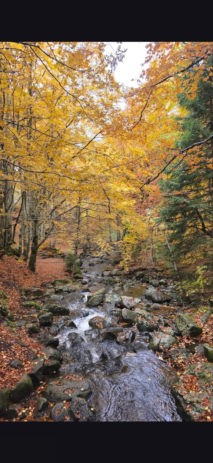 From Sofia: Shorter day trip - city center Sofia + mountain Vitosha - 1