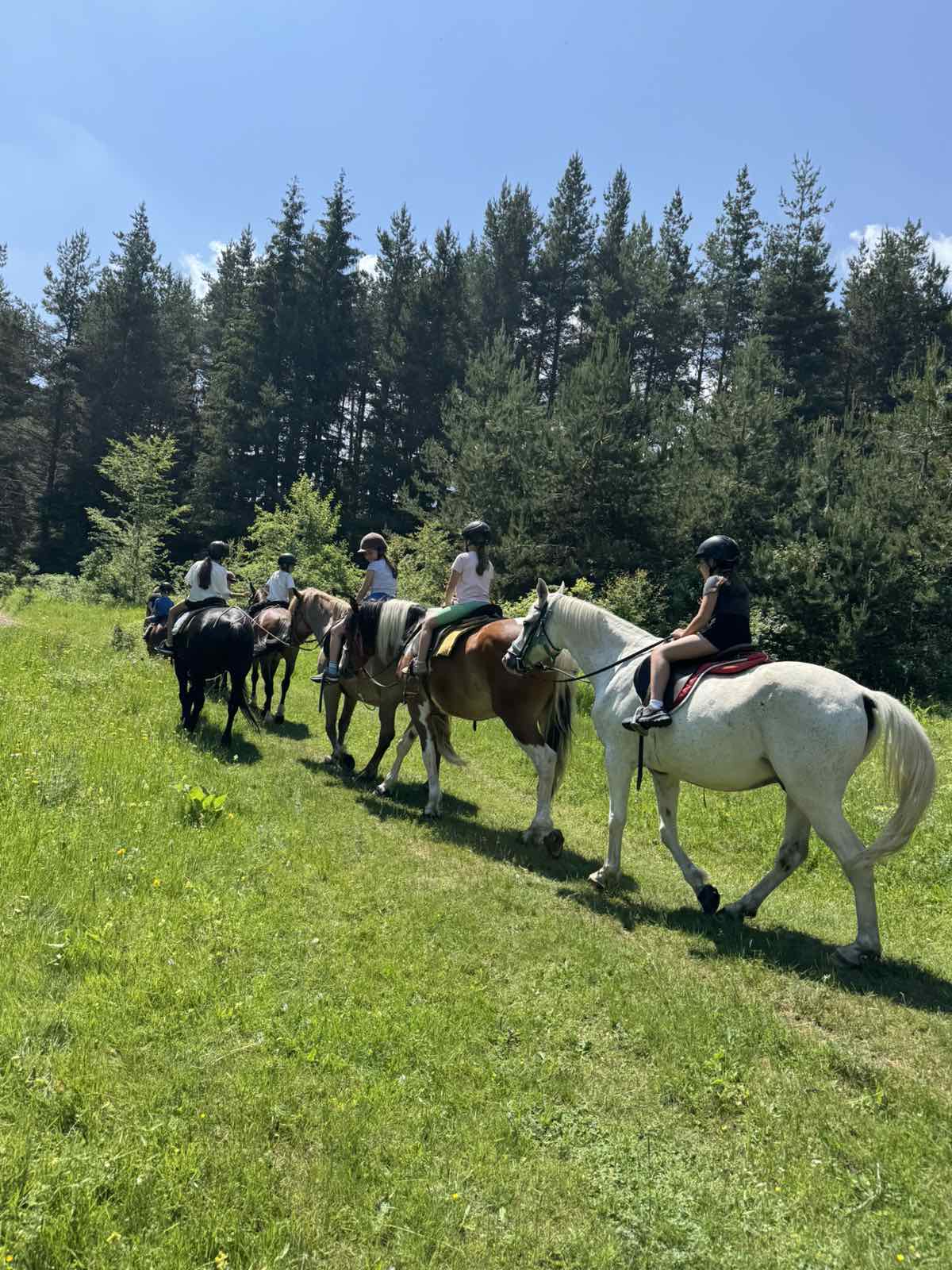 In Borovets: 1 Hour Horse Riding Adventure - 2