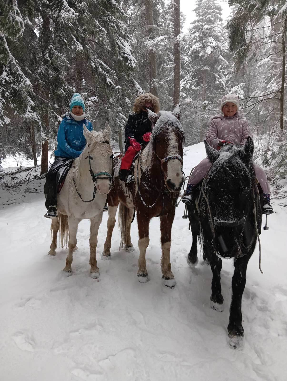 In Borovets: 1 Hour Horse Riding Adventure - 6