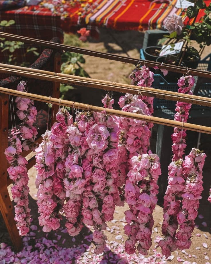 From Sofia: A day trip to the Rose Festival Finale in Kazanlak - 3