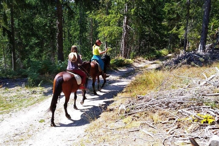 In Smolyan: Private Horse Riding Tour To the Perelik Top  - 1
