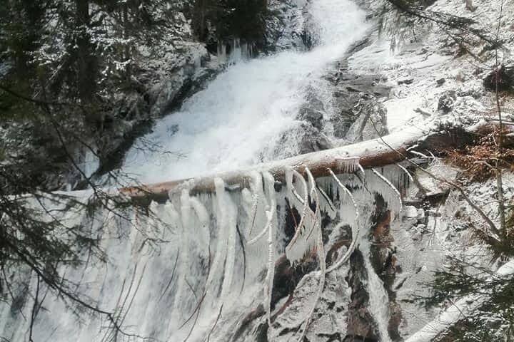 In Smolyan: Private Horse Riding Tour To the Perelik Top  - 3