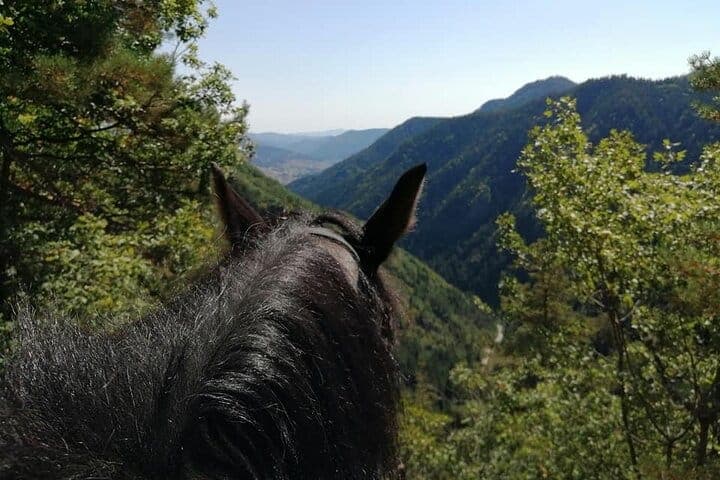 In Smolyan: Private Horse Riding Tour To the Perelik Top  - 5