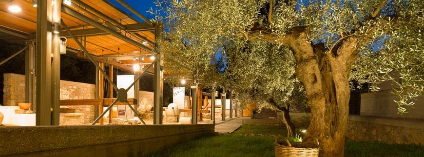 Argolis, Olympia, Zakynthos, Delphi & Meteora Five Days Tour - 6
